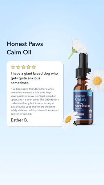 A social-proof driven ad featuring a product bottle alongside a five-star customer review from a pet owner.